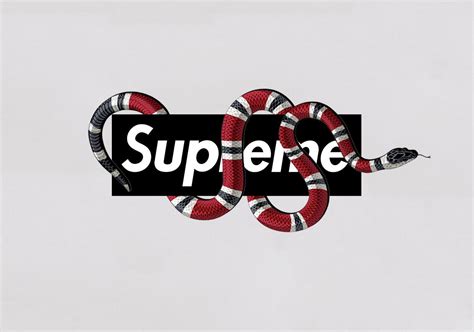 supreme gucci snake box logo